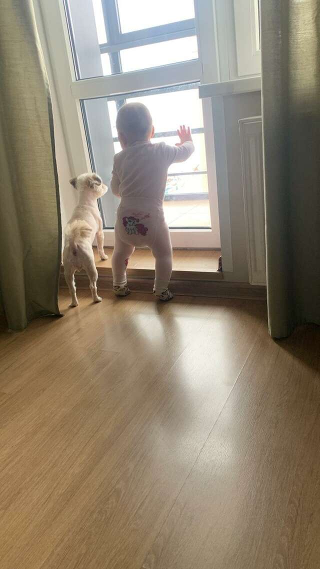 Фото Гостиница Sibgat Apartments Казань-66 Гостиница Sibgat Apartments Казань-66