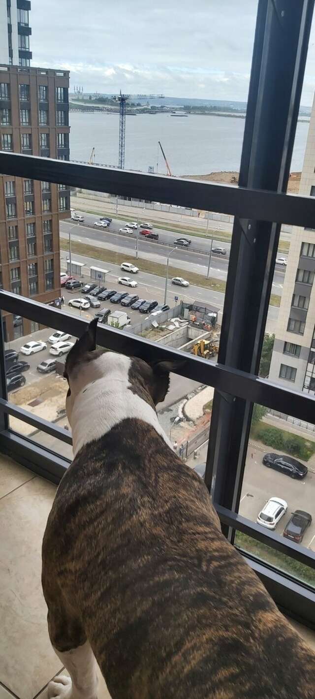 Фото Гостиница Sibgat Apartments Казань-31 Гостиница Sibgat Apartments Казань-31